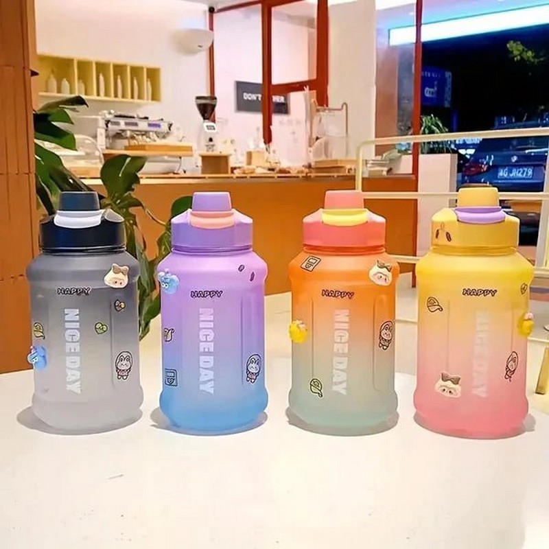 Gradient Water Bottle With Straw