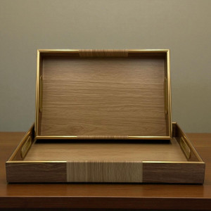 Contemporary Brown Lined Acrylic Tray Duo with Gold Accent – 2 Piece Set