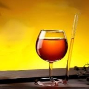 300ml Sipper Bottle – Leakproof Water & Juice Bottle with Straw Lid