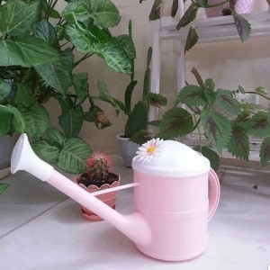 Limon 1.4L Plant Watering Can – Durable Garden & Indoor Plant Watering Tool (1670) | Adornia.pk