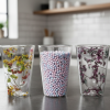 Double Wall Dried Flower Glass – Elegant & Aesthetic Drinkware`